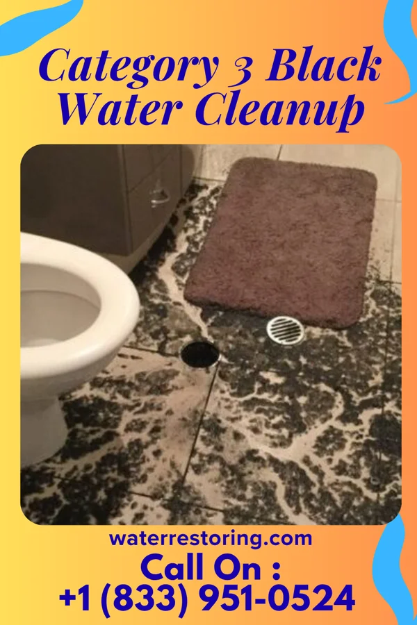 Category 3 Black Water Cleanup in Yazoo City, MS