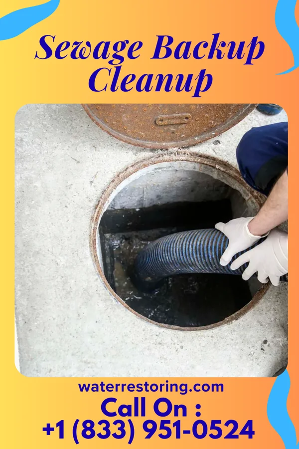 Sewage Backup Cleanup in Yazoo City, MS
